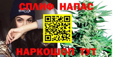 альфа пвп Гай