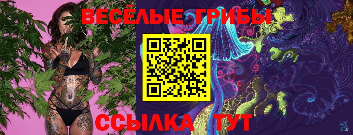 Псилоцибиновые грибы мицелий Луга